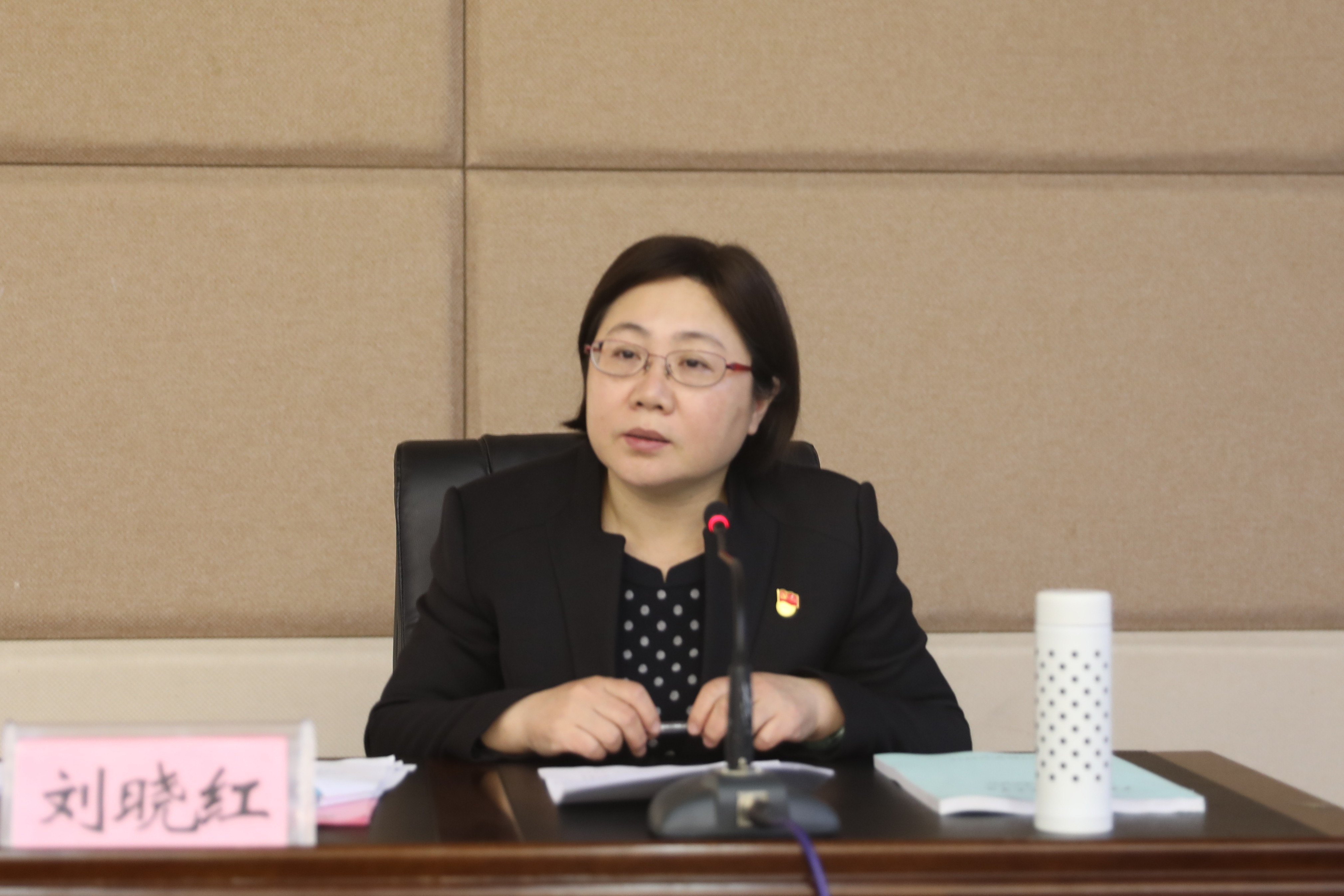 学院党委书记刘晓红讲话