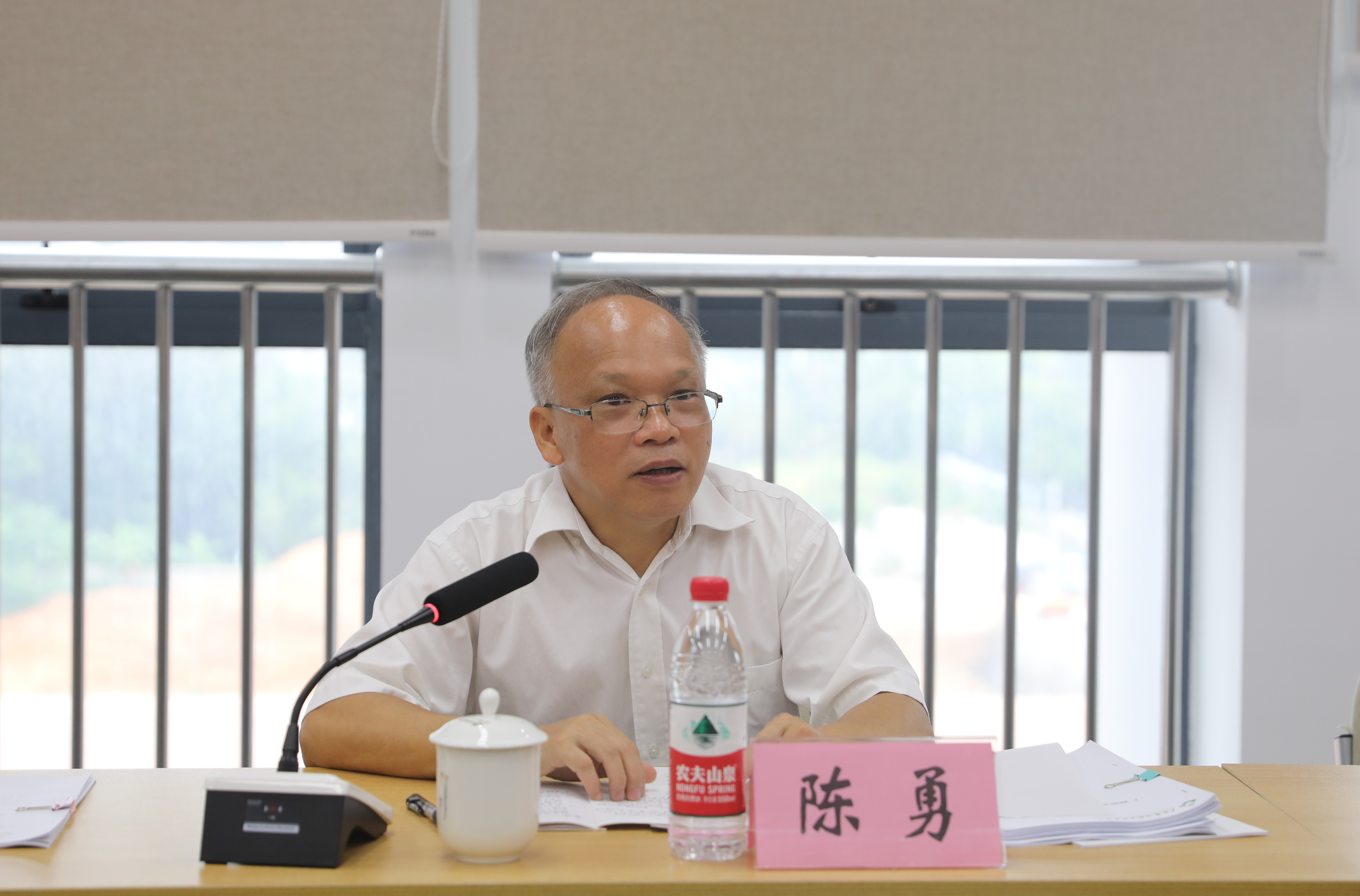 专家组组长陈勇教授讲话